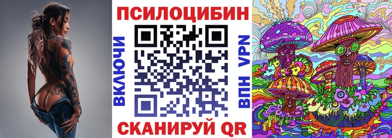 omg как войти  Удомля  Псилоцибиновые грибы Magic Shrooms 
